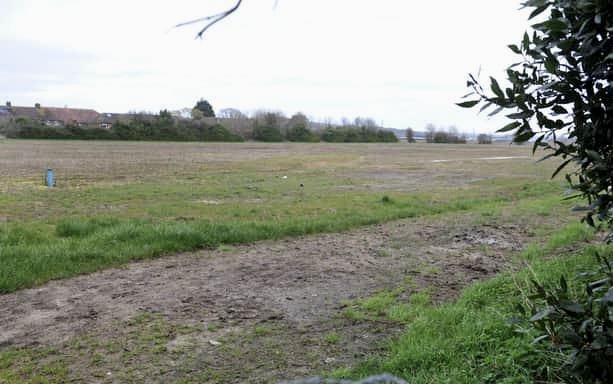 field-imagejpeg
